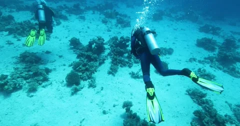 Two divers swimming in an coral reef. Diving instructor and group students Stock Footage 284658295