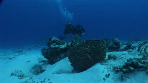 Two Divers Swimming in Ocean Stock Footage 36373511