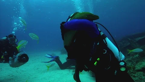 Two divers taking a video in the seabed in slow motion Stock Footage 81230667