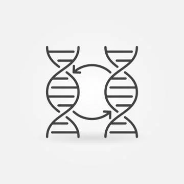 Two DNA vector concept icon or symbol in thin line style 스톡 일러스트