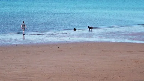 Two dogs and man on beach Newton Shore Ayrshire 動画素材 131940599