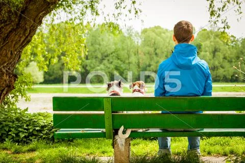 Two dogs and owner Stock Photos
