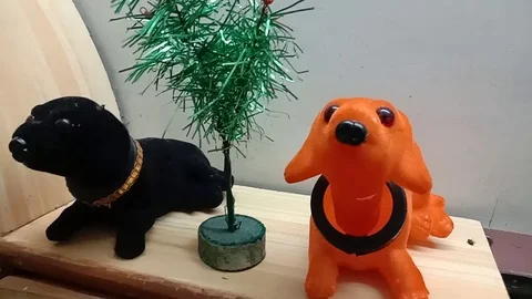 Two dogs in Black and Orange color shake their heads Stock Footage 127018743