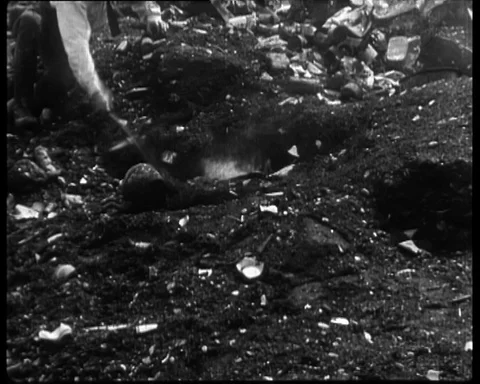Two dogs helping the workers digging through ground, Rat Menace, 1925 Stock Footage 131081587