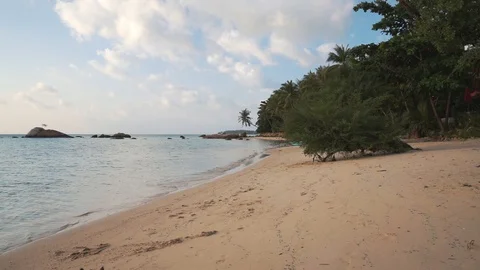 Two dogs play on the beach at sunset. Stock Footage 109120065