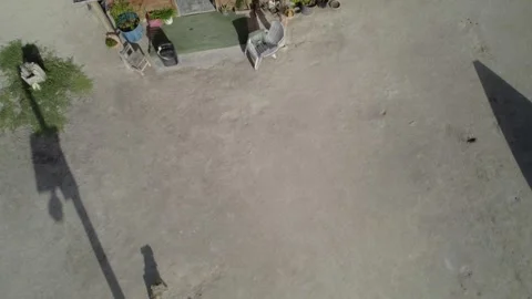 Two dogs playing on a sandy beach in a remote Caribbean fishing village 库存影片 340852192