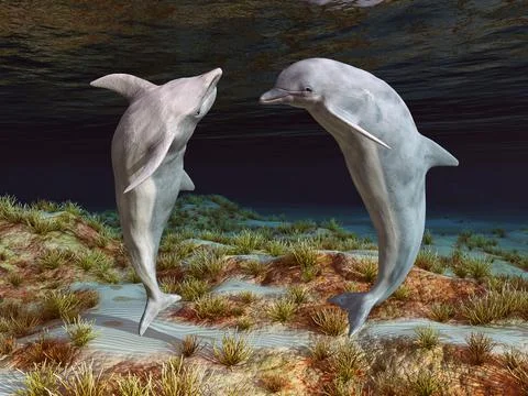 Two dolphins in an underwater landscape Stock Illustration
