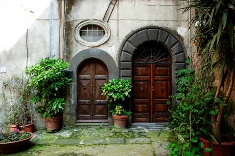 Two doors with plants Foto stock