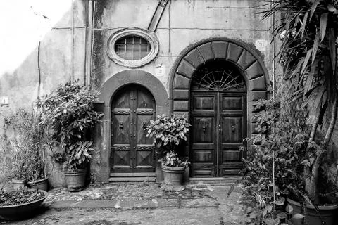Two doors with plants Фото