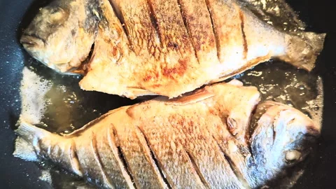 Two dorades fried in the pan, close up Stock Footage 238847509