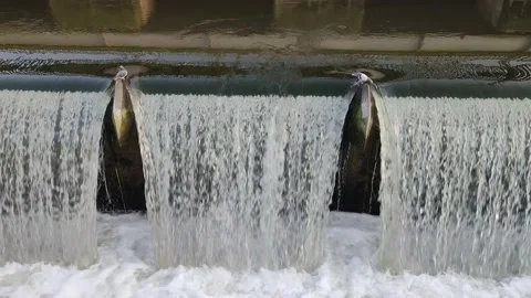 Two doves drinking water from a fountain waterfall Stock Footage 232807872
