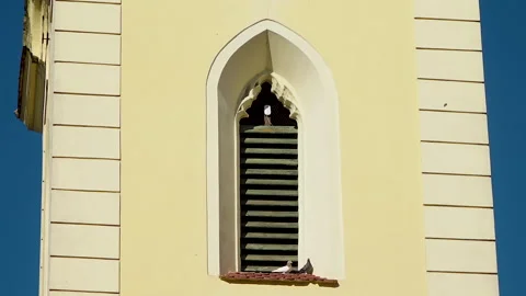Two doves in the window of the church tower Vídeo Stock 225853415