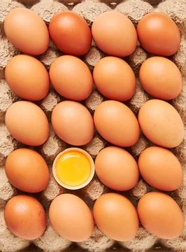 Two dozen eggs, one egg missing. The egg is yellow, the rest are white. Stock Photos