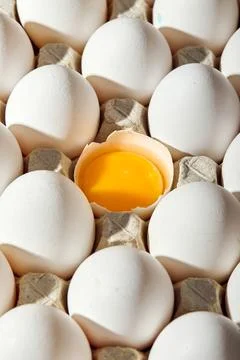 Two dozen eggs, one egg missing. The egg is yellow, the rest are white. Stock Photos