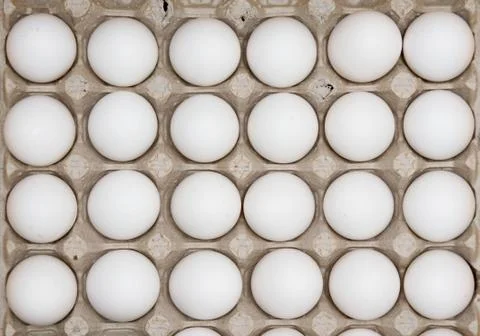 Two dozen eggs Stock Photos