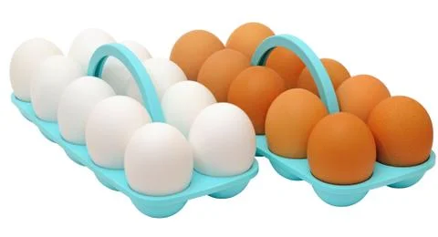 Two dozen eggs with white and brown shell Stock Photos