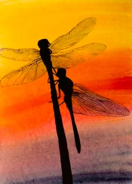 Two dragonflies Illustrazione stock