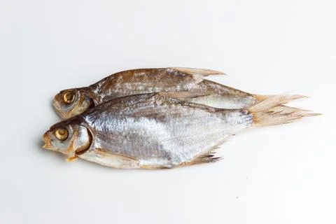 Two dried dried fish on a light background Stock Photos