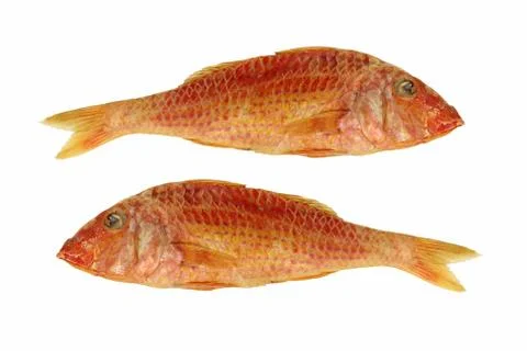 Two dried goatfish.isolated. Stock Photos