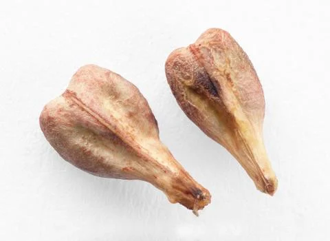 Two dried grape seeds Stock Photos