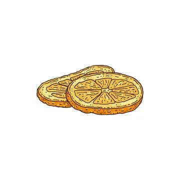 Two dried orange slice for mulled wine, pastry or cake a vector illustration. Stock Illustration