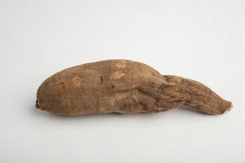 Two Dried Peony Root Pieces on White Backgr Stock Photos