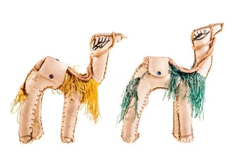 Two dromedaries Stock Photos