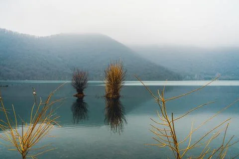 Two dry grass bunch Stock Photos
