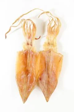 Two dry squid Foto stock