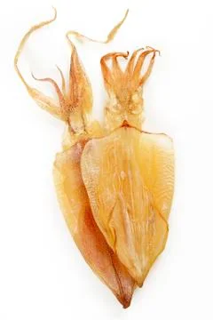 Two dry squid on white Stock Photos