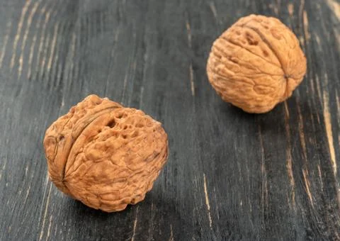Two dry walnut Stock Photos