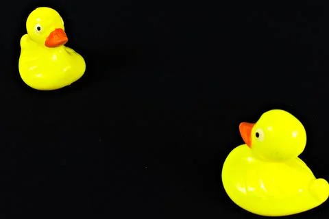 Two Ducks on Black Background Stock Photos