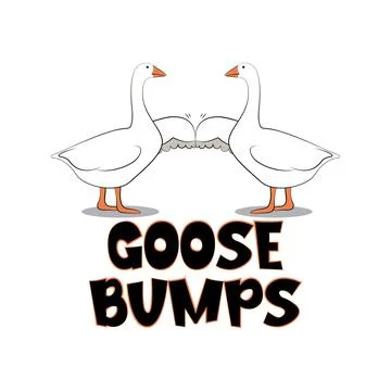Two ducks bumping fists and funny quote goose bumps Vector illustration Stock Illustration