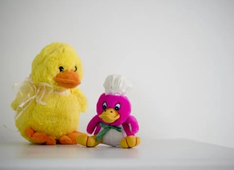 Two ducks Stock Photos