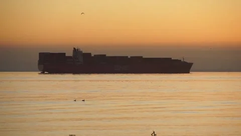 Two ducks swimming in front of container ship Stock Footage 233902673