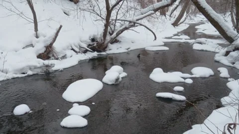 Two ducks swimming in snowy winter stream Stock Footage 323769988