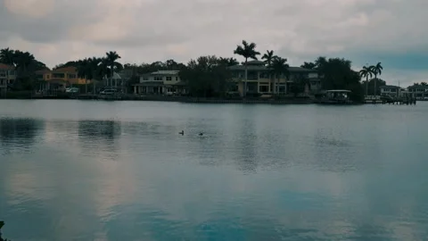 Two ducks in the water view across Coffee Pot Bayou looking east in Saint Peters Stock Footage 268774008