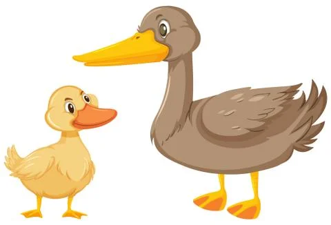 Two ducks on white background Stock Illustration