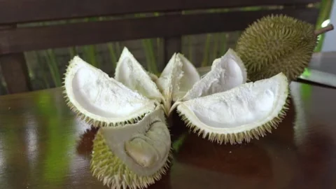 Two durians are on the table, one is opened Stock Footage 159328620