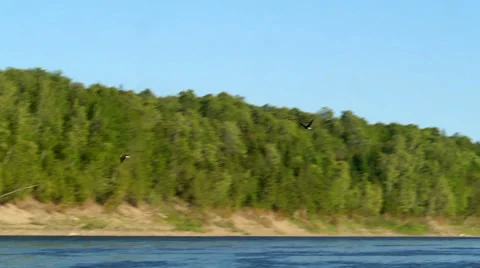 Two Eagles Soaring Over Lake Stock Footage 34174442