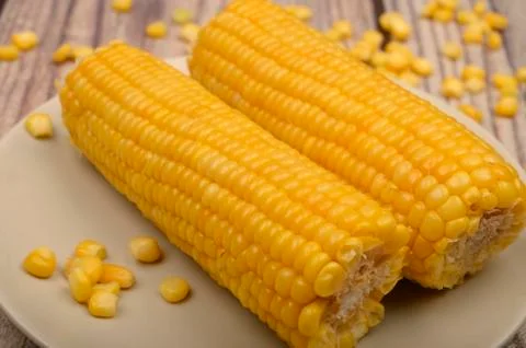 Two ears of boiled corn in a plate and a grain of corn on the table. Healthy  Stock Photos
