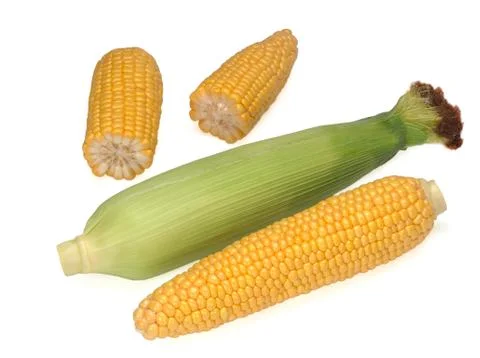 Two ears of corn and two its pieces isolated on white background Stock Photos