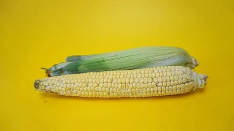Two ears of corn on a yellow background: one peeled, the other in leaves. Foto stock