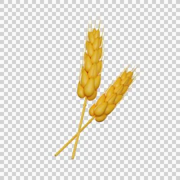 Two ears of wheat. Stock Illustration