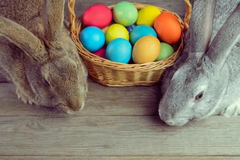 Two Easter bunny Stock Photos