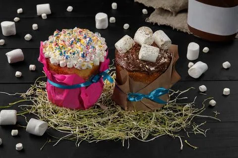 Two Easter cakes with whipped egg whites and chocolate icing with marshmall.. Stock Photos