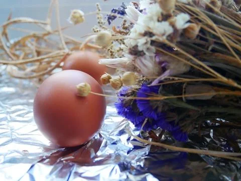 Two easter eggs and dried flowers Stock Photos