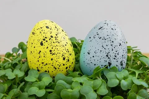 Two Easter eggs with black and white spots on a green leaf Stock Photos