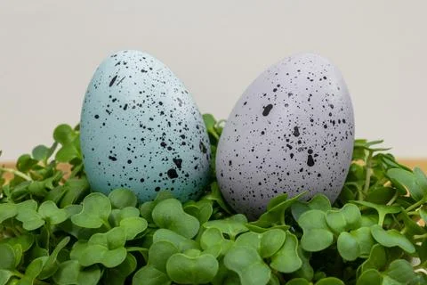 Two Easter eggs with black and white spots on a green leaf Stock Photos