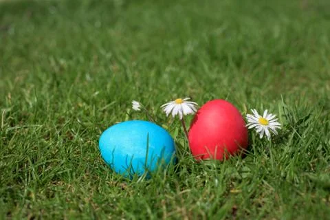 Two easter eggs- blue and red Foto stock